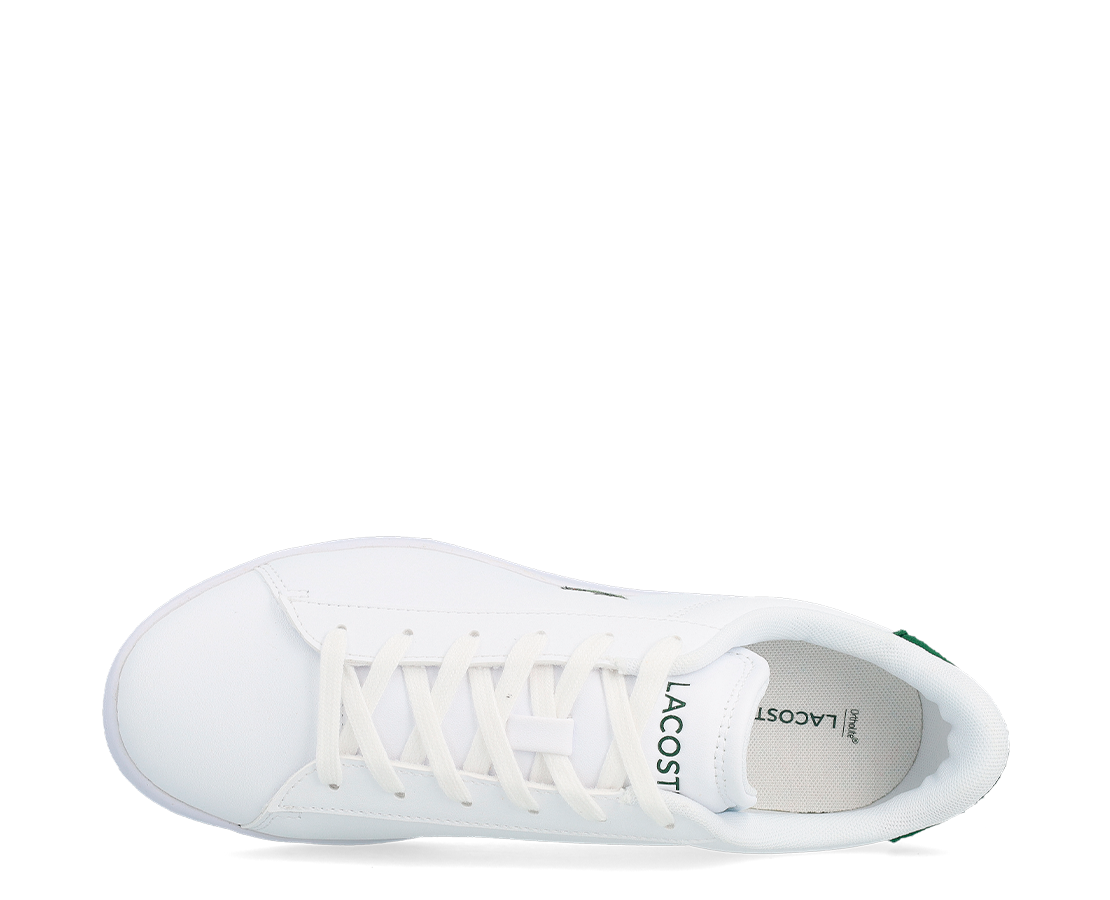 Lacoste Carnaby Set 224 BR/VD - 48SUJ0001-1R5-124