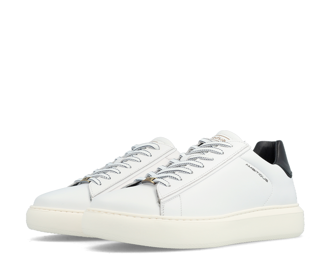 Ambitious Eclipse BR/PR - 11677-4838AM-117