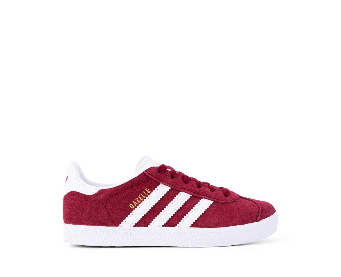 Adidas Gazelle BORD/BR - CQ2914-742