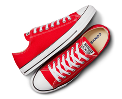 Converse Chuck Taylor All Star Classic VM/BR - M9696C-325